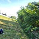 후덕농원 | 서울 제초작업 서울시 강남구 세곡동 묘목농원