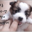 야 이미지