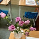 동그라미유치원 | [공지] 동그라미영재원 2026년 교육간담회 간략+자발적+No AI 후기 :)