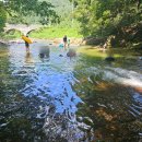 혜원네민박 이미지