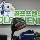 곰's 골프 이미지