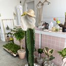 교방동140 이미지