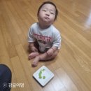 1547 | D+1547 감귤이 / D+420 청귤이 육아일기 : 여기저기 서울형 키즈카페 마포구 난지한강공원 스타숲