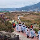 건강의향기 이미지