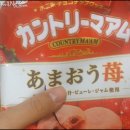 일본에서 사온 일본 과자들 (녹차모찌초코&딸기 호로요이&녹차킷캣&딸기 마가렛트) 이미지