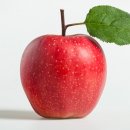 바디채널 대실점 이미지