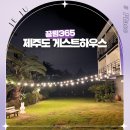 아마존게임전자 | 제주도 게스트하우스 파티 제주 애월 1인 끌림365 게하 추천