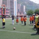 황지중앙초등학교 이미지