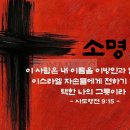 소명인테리어 네이버블로그