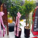 잠실팜약국 이미지