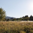 낙동강자전거길5 이미지