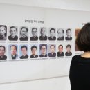양지-17 이미지