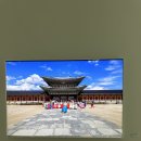 케논목장 | 서울 혼자 가볼만한 곳 무료전시&amp;사진전, 캐논갤러리 [한국의발견] (26.5.12~6.18)