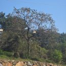 평사리공원 | [후기] 하동 후식 맛집, 평사리 공원 젤라또