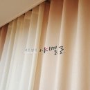 문성세탁 이미지