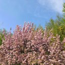 성산패총로-2 이미지