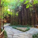 들꽃스테이 이미지