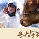 워낭 Daum카페