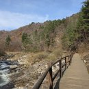 오대산 산채정식 이미지