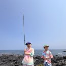 판판포포 이미지