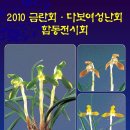 2010 금란회, 다보여성난회 합동전시회 이미지