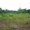 수명농장 이미지