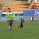 제주 헬로우펫 이미지