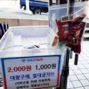 아이스홀릭 정관점 이미지