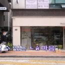 보아비양 이미지