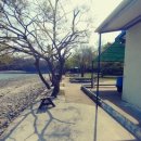 추섬민박 이미지