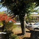 여주-1095 이미지