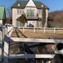 말꼬지농장 네이버블로그