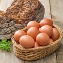 행운유정란 | 난각번호1번 상황버섯 먹여 키운 무항생제 계란 유정란 자연방사 HACCP 40구 상세 스펙과 사람들 반응