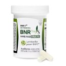 BNR17 유산균 코스트코 가격 먹는법 비에날씬 비엔알17 유산균 후기