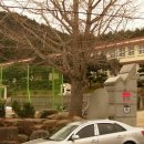 약산중학교 이미지