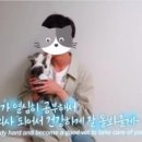 남성목장 이미지