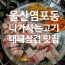 니가사는고기 이미지