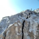 세종약품 주식회사 이미지