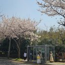 대륜세탁소 이미지