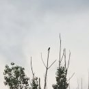 낙동강변18 이미지