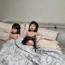 예림어린이집 이미지