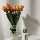 리헤어필 네이버블로그