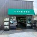 수초닷컴 | 대구 물생활 취미인들의 아지트 수초닷컴 후기