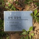 박민광 밝의뉘 이미지