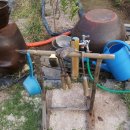 서성교농장 이미지