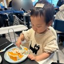 KRA 장수동물병원 | 용인 34개월 아기랑 실내 가볼만한 곳, 이케아 기흥점(점심해결)•경기도어린이박물관