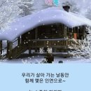 덕이야채과일