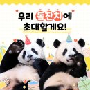 🎉🐼루이&후이🐼 돌잔치 파티원 모집한대요🎉 이미지