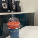 커피퀘이사