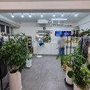 하얀명품세탁 이미지